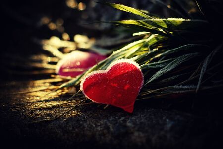 Frozen heart all covered with ice under the rays of the sunの写真素材