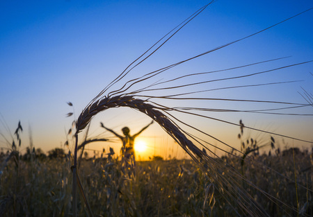 holidaysの写真素材