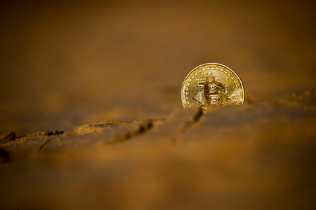 The coin lies on dry, cracked ground.の写真素材