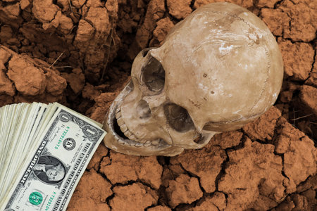 Human skull with dollar banknote on cracked earth background. Concept of financial crisis