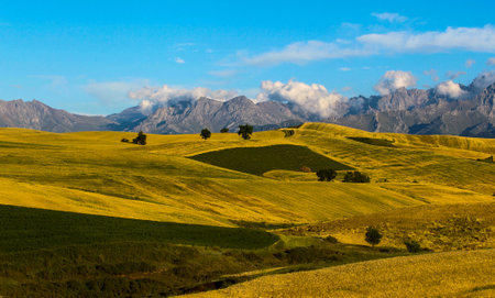 Beautiful landscape with yellow fields and blue sky