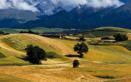 Typical Tuscan landscape in the Val d'Orcia, Italy