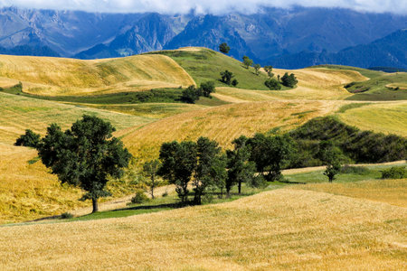 Typical Tuscan landscape in Val d'Orcia, Italyの写真素材