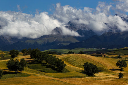 Rural landscape of alps and fields with clouds in backgroundの写真素材