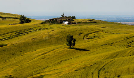 Typical Tuscany landscape in Val d'Orcia, Italy