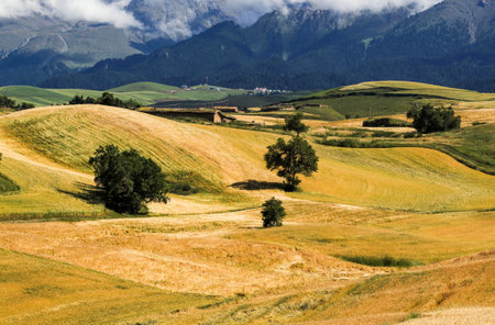 Typical Tuscan landscape in Val d'Orcia, Italyの写真素材