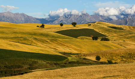 Typical Tuscan landscape in Val d'Orcia, Italy