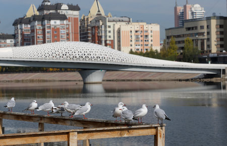 A view of Astana, the capital of the Republic of Kazakhstan. Located in the north of the country, on the banks of the Ishim River.の写真素材