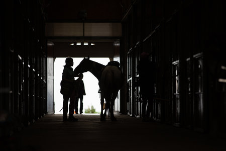 Silhouette of a horse in the stable.の写真素材