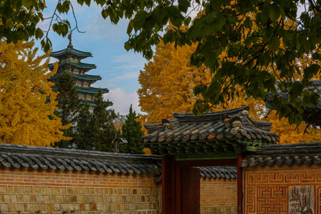 Hands of a man in front of a modern skyscraper.の写真素材