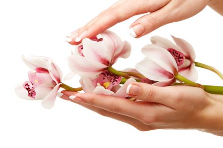 Hands and orchid over isolated white backgroundの写真素材