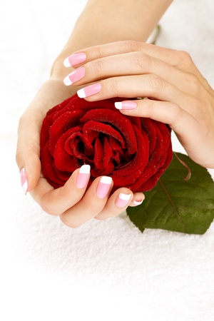 Beautiful manicure nails with a roseの写真素材