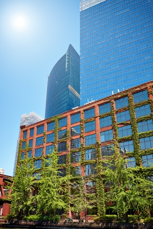 Modern skyscrapers in Chicago on a summer dayのeditorial素材