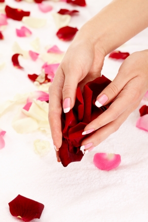 Closeup image of pink french manicure with leafs of roseの写真素材