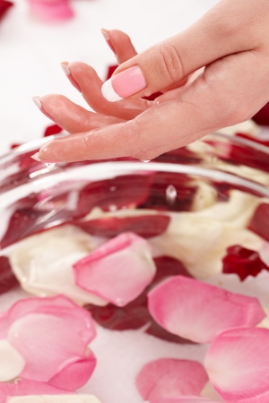 Closeup image of pink french manicure with leafs of roseの写真素材