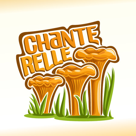 Vector logo Chanterelles Mushrooms: group of wild mushrooms with grass on ground forest glade, cartoon still life with lettering chanterelle, outdoors nature icon with inscription for edible fungi.のイラスト素材