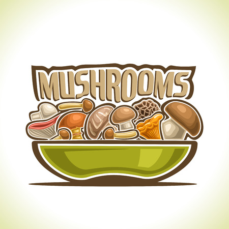 Dish with edible Mushrooms: green bowl with wild forest whole delicious mushrooms, collection assorted minimalistic fungus on dish, simple autumn mushroom still life with title inscriptionのイラスト素材