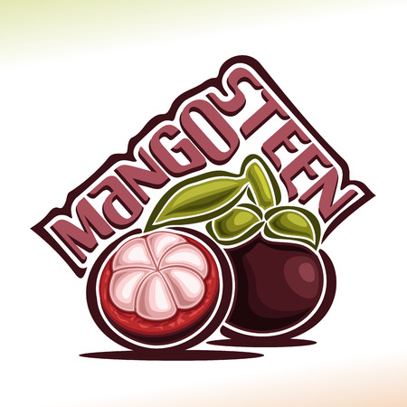 Vector logo Mangosteen Fruit: still life of 2 whole and cut mangosteen with green leaf, fresh purple exotic fruit, abstract cartoon icon garcinia mangostana with title text for label isolated on whiteのイラスト素材