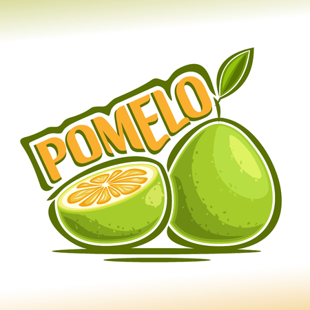 Vector logo Pomelo Fruit: still life consisting of cut slice Green pummelo and whole exotic fruit with green leaf, abstract icon chinese pomelo with title text for label closeup on white background.のイラスト素材