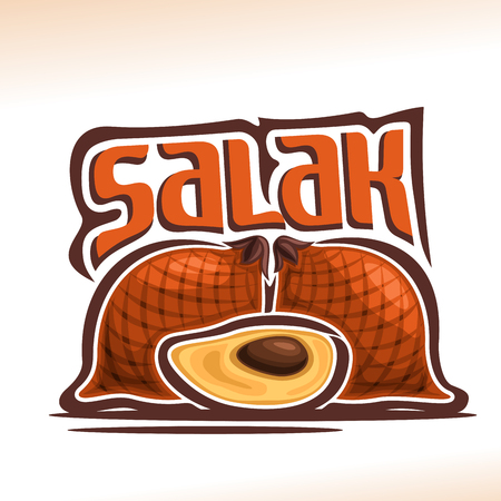 Vector logo Salak Fruit: still life of 3 whole and cut slice salak.のイラスト素材
