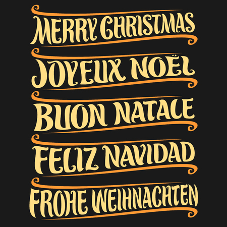 Vector set of greeting text - Merry Christmas in different languages: french joy, noe, italian buon natale, spanish feliz navidad, german frohe weihnachten, drawn christmas decoration on black.のイラスト素材