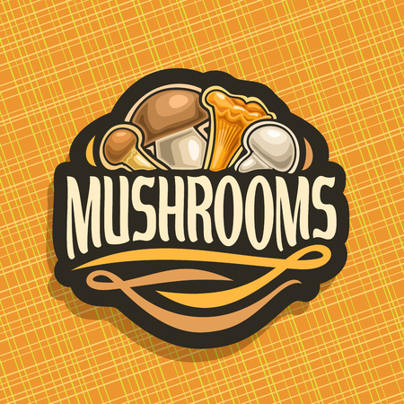 Vector icon for Mushrooms, cut sign with edible honey agaric, wild porcini mushroom, forest chanterelle, fresh champignon on geometric background, veg mix label with text mushrooms for vegan store.のイラスト素材