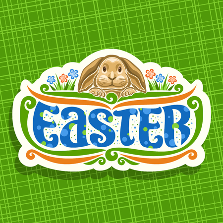 Vector logo for Easter holiday, original handwritten brush typeface for word easter, cute brown rabbit on floral background.のイラスト素材