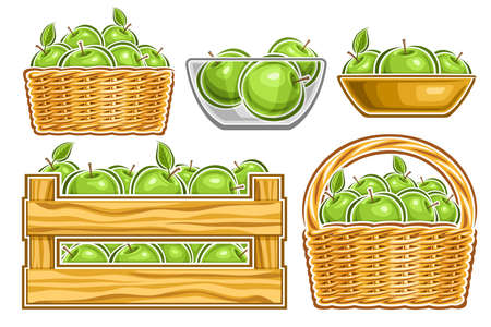 Vector set of Green Apples, lot collection of cut out illustrations whole natural apples in glass bowl, green fruits in cartoon design clay dishes and straw basket with handle on white background.のイラスト素材