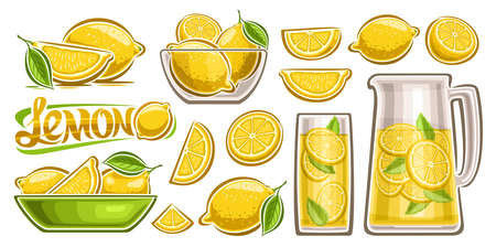 Vector Lemon Set, lot collection of cut out illustrations fruit still life compositions with green leaves, group of variety sliced lemons, transparent jar, tall tumbler with lemonade and word lemonのイラスト素材