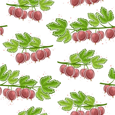 Vector Gooseberry Branches seamless pattern, repeat background with illustration of farm gooseberries still life composition for wrapping paper, collection of flat lay red gooseberry fruits on branchのイラスト素材