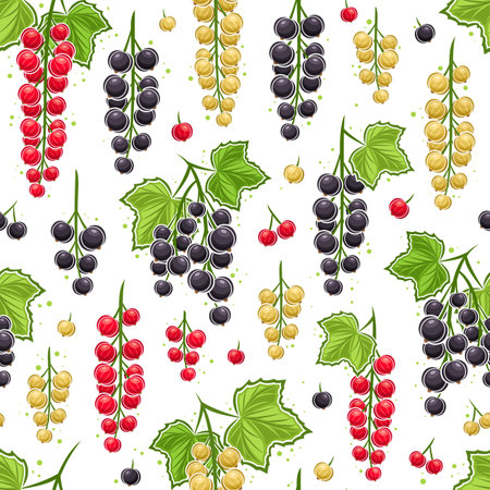 Vector Currant Branches seamless pattern, repeat background with illustrations black currants with green leaves for wrapping paper, collection of flat lay red and white currant branches for bed linenのイラスト素材