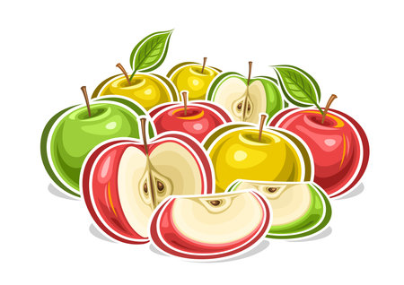 Vector logo for Colorful Apples, decorative horizontal poster with outline illustration of red, yellow and green apple fruity composition, fruit print with juicy multicolored chopped apples with seedsのイラスト素材