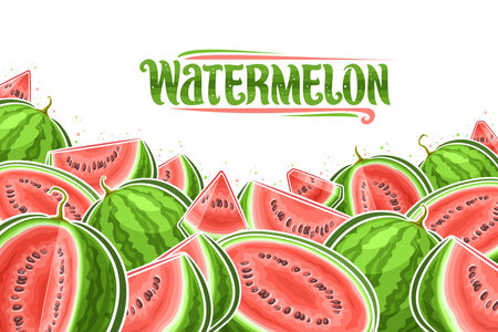 Vector illustration of Watermelons with copy space for ad text, decorative layout with chopped cartoon watermelon composition, horizontal fruit poster with green text watermelon on white backgroundのイラスト素材