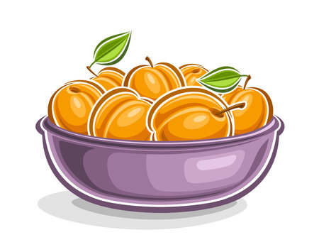 Vector logo for Apricot, decorative horizontal poster with outline illustration of orange apricot composition with green leaves on stem, cartoon design print with yellow apricots on white backgroundのイラスト素材