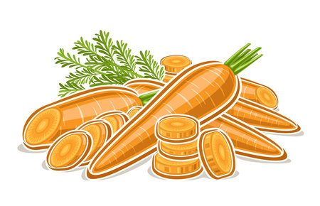 Vector logo for Carrot, decorative horizontal poster with outline illustration of yellow carrot composition with green leaves, cartoon design vegetable print with crunchy carrots on white backgroundのイラスト素材