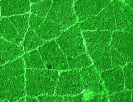 Green grunge background with crackedのイラスト素材