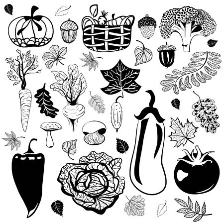 Attributes of autumn. Vegetables, mushrooms, leavesのイラスト素材