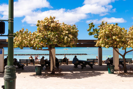Waikiki Beach on Oahuの写真素材