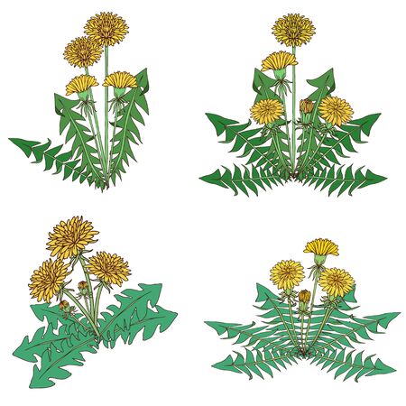 Yellow Tonpopo Icon Illustrationのイラスト素材