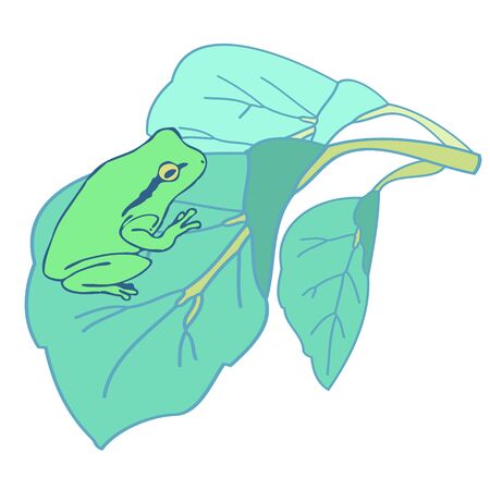 A frog riding on a leafのイラスト素材