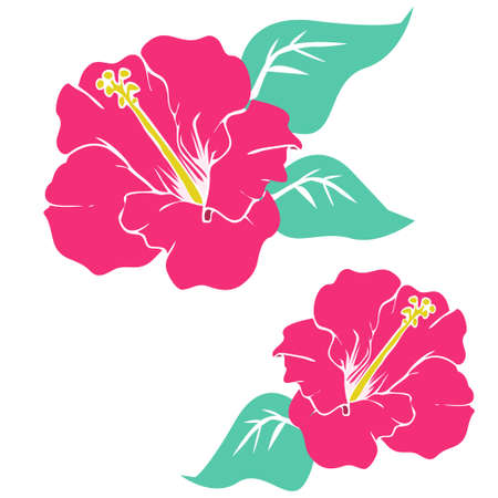 Tropical Hibiscus Flowersのイラスト素材