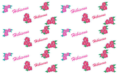 Hibiscus floral backgroundのイラスト素材