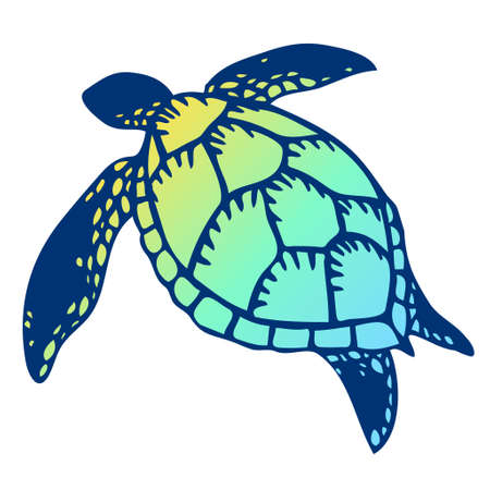 Colorful shell illustration of sea turtlesのイラスト素材
