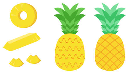 Pineapple and cut fruitのイラスト素材