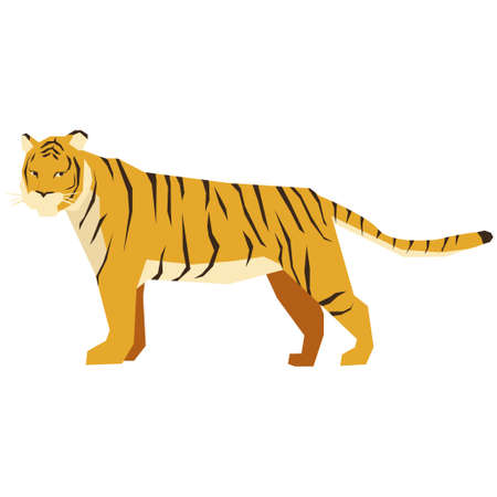 Wildlife Tigerのイラスト素材