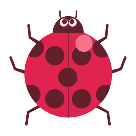 Cute eyes on ladybugsのイラスト素材