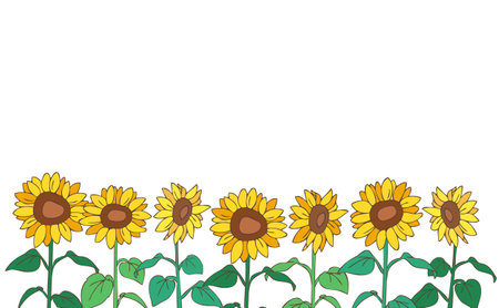 Simple sunflower background illustrationのイラスト素材
