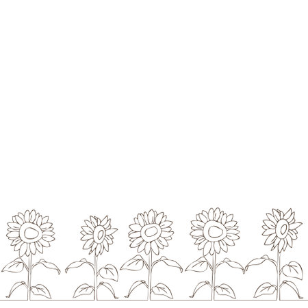 Simple line art sunflower frame, background illustrationのイラスト素材