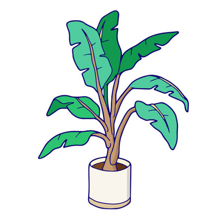 Houseplants in a planterのイラスト素材