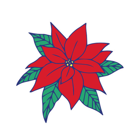 Red poinsettia flower illustrationのイラスト素材